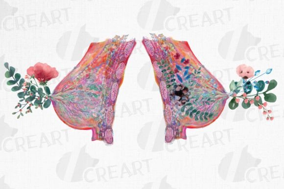 Blending Art and Anatomy: The Rise of Floral Female Breast Watercolour Designs