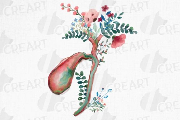 Bridging Science and Art: The Rise of Floral Anatomy Gallbladder Hepatic Duct Designs in Modern Creative Markets